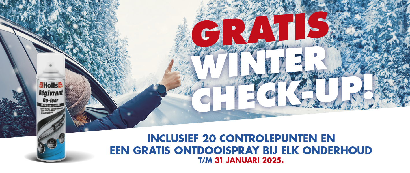 GRATIS WINTER CHECK-UP!